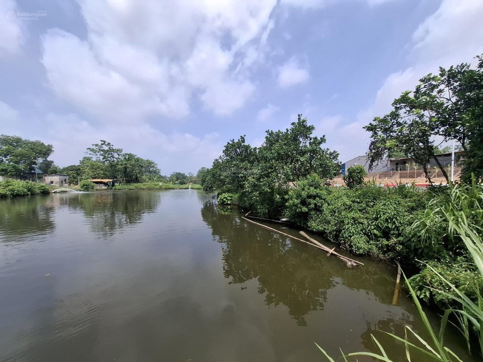 Bán đất tại Phố Phùng Hưng, 786 triệu, 150 m² full đất ở, sẵn sổ view hồ đẹp